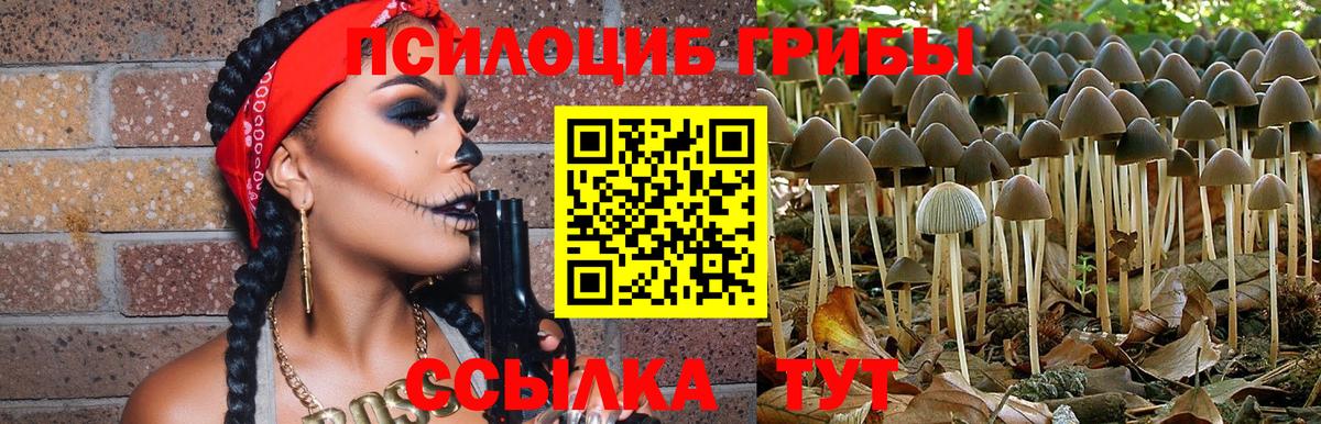 Долгопрудный  Галлюциногенные грибы Cubensis  Псилоцибиновые грибы Psilocybe  Вход с VPN 